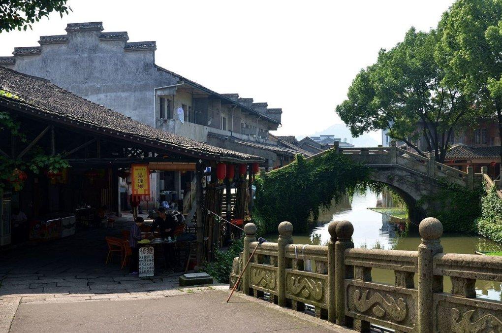 【 两会特刊·青报观察】生态高地展作为 万物并秀共和谐